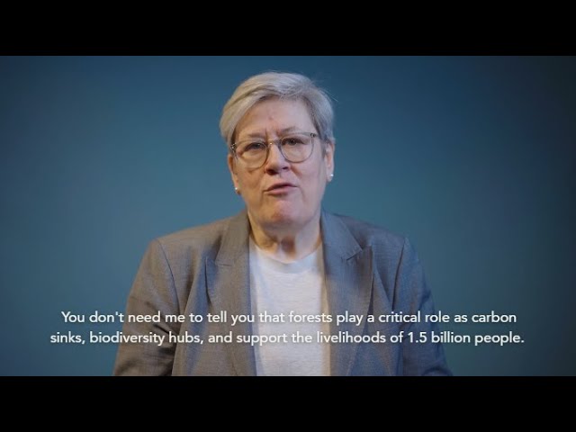 The Power of Forests to Protect the Planet: Rachel Kyte, UK Special Representative for Climate