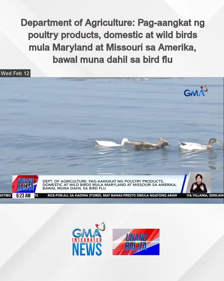 Dept. of Agriculture - Pag-aangkat ng poultry products, domestic at wild birds... | Unang Balita