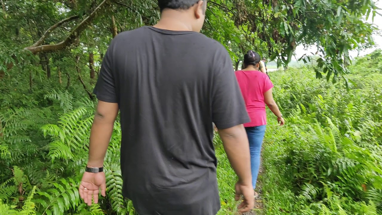 Garumara forest.....