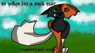 So What I'm A rockstar OPEN Mapleshade MAP! 24/45