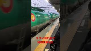 貨物列車のお通りだ #貨物列車 #JR東海 #関西線 #桑名駅