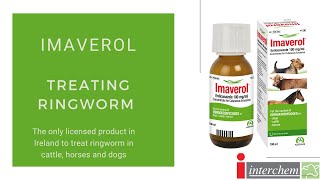 krøllet violet spontan Demonstration on how to treat ringworm with Imaverol - YouTube