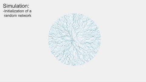 V0041 Temporal Evolution of Erosion in Pore Networks  From Homogenization to Instability