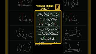 Download Lagu ‫ٱلَّذِی جَعَلَ لَكُمُ ٱلۡأَرۡضَ فِرَ ٰ⁠شࣰا وَٱلسَّمَاۤءَ بِنَاۤءࣰ | محام الدين مامالوبا #المصحف MP3