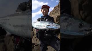 カツオを狂わせるバレットファスト!! #ハードコア #ロックショア #BULLETFAST