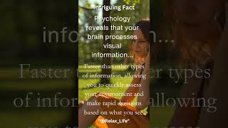 Decoding Visual Processing: Insights into the Brain #VisualProcessing #BrainInsights #Neuroscience