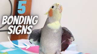 5 Ways to Tell if your Bird Bonded to You