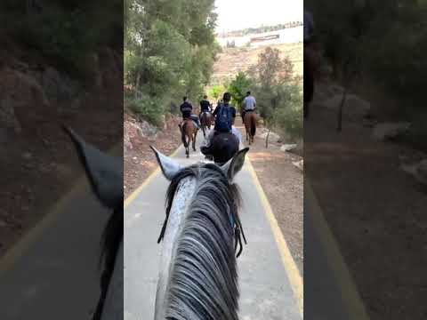 ماض وأعرف ما دربي وما هدفي محمد نادر علمي