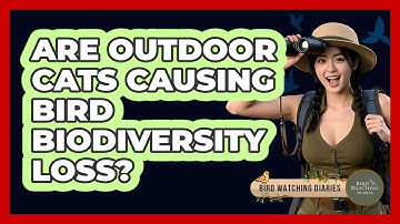 Are Outdoor Cats Causing Bird Biodiversity Loss? - Bird Watching Diaries