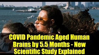 COVID Pandemic Aged Human Brains by 5.5 Months - New Scientific Study Explained