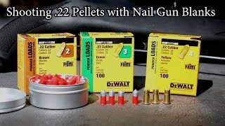 Shooting 22 Pellets with Nail Gun Blanks