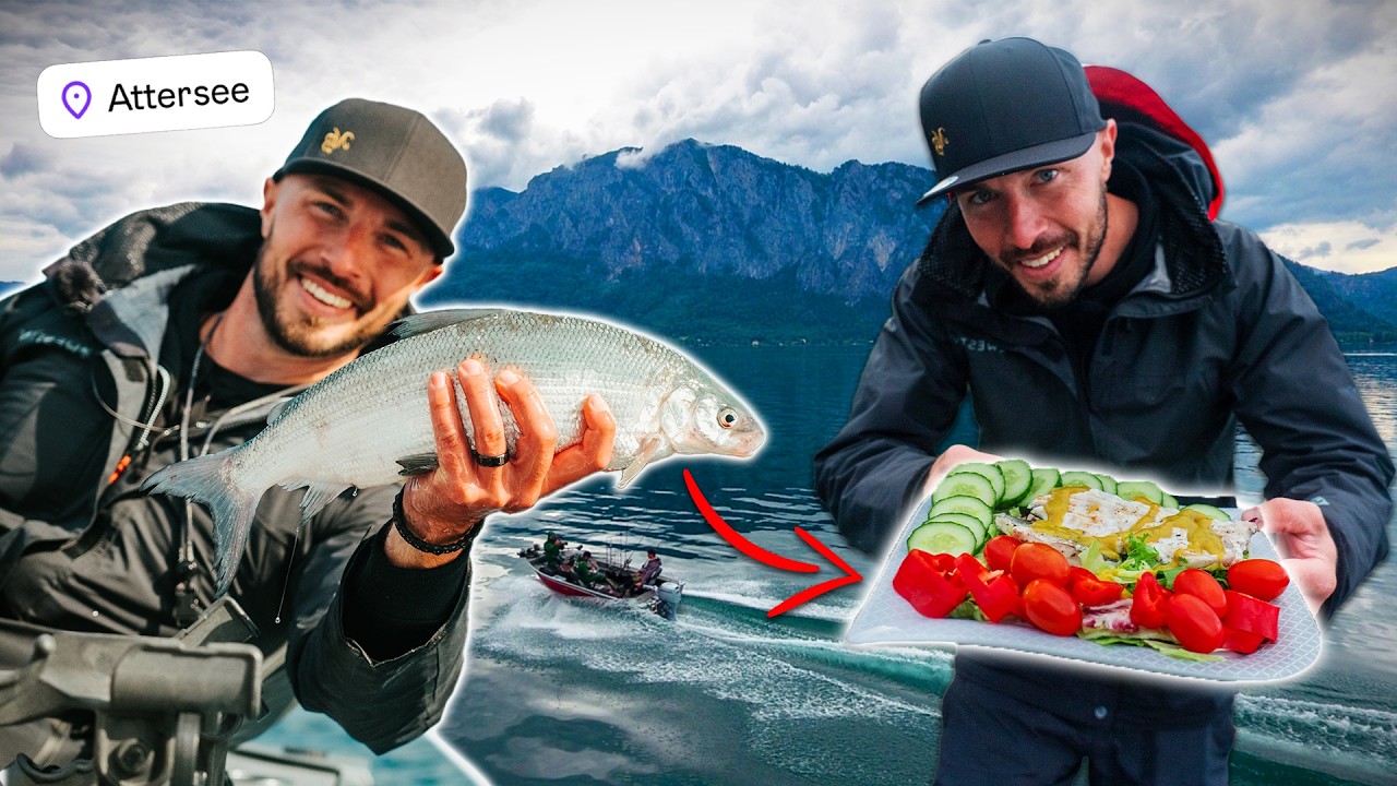 Renke angeln, filetieren & sofort kochen!! (Attersee)