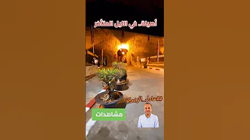 الجزء الأول أصيلة في الليل المتأخر مشاهدات عادل الزبيري المغرب أصيلة 2025reels 