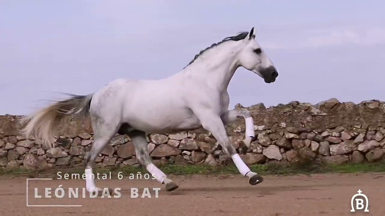 YEGUADA BATÁN presente en SICAB 2022. Sevilla, España.