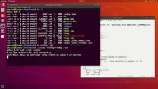 V2Ray Client on Ubuntu Linux