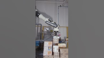 Palletize and Depalletize with Dexterity #robotics #palletizer #robot