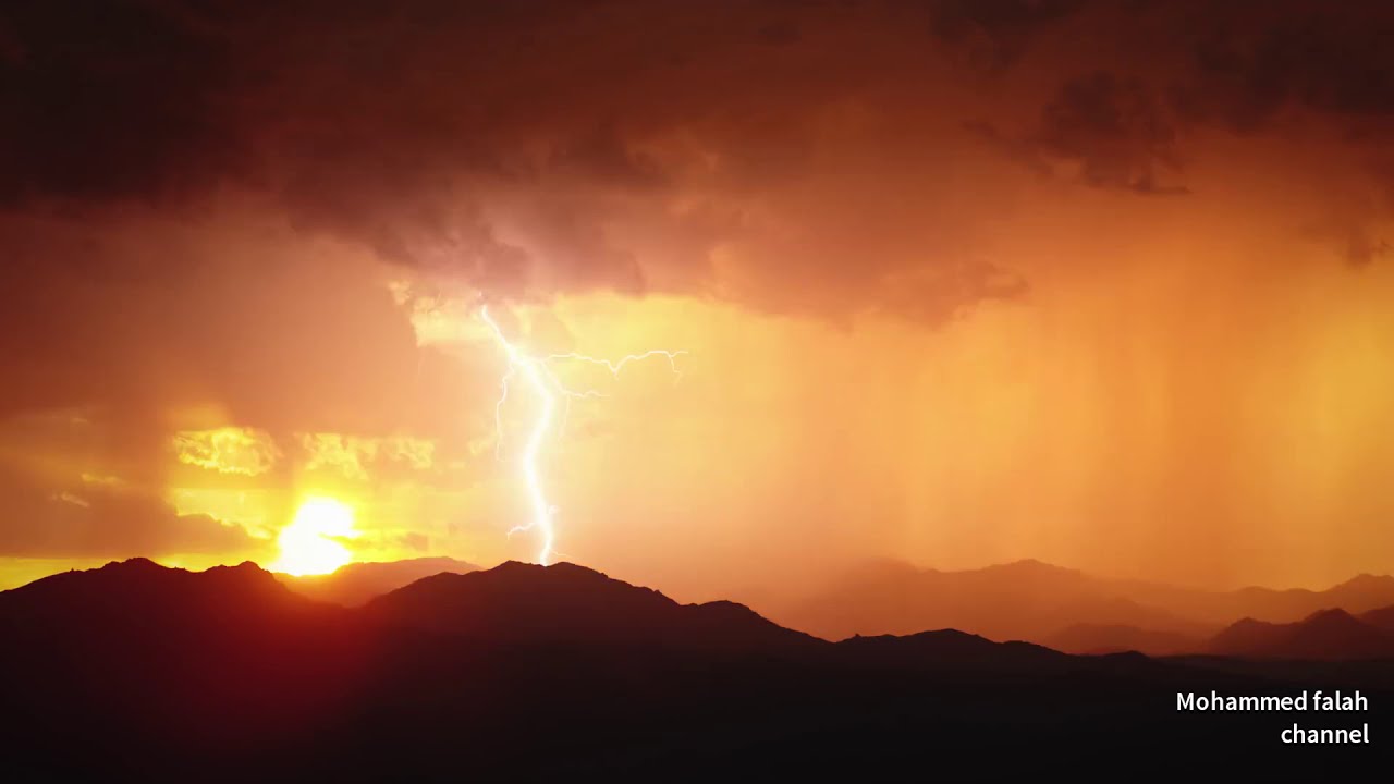 الم تر ان الضر | سلمان الملا  salman_almullah    HD