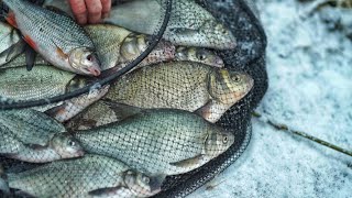 видео: Зимняя ЛОВЛЯ ЛЕЩА на Реке. Патерностер. Cерия 28. картинка: Зимняя ЛОВЛЯ ЛЕЩА на Реке. Патерностер. Cерия 28.