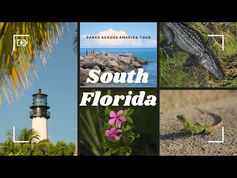 South Florida Recap | Creation on Location