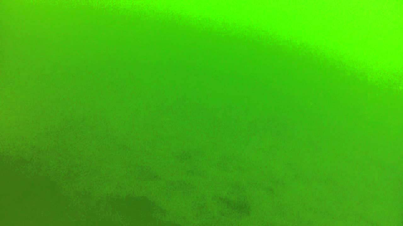 porcupine cribs 3 YouTube