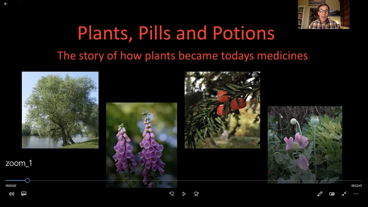 Plants, Pills, and Potions