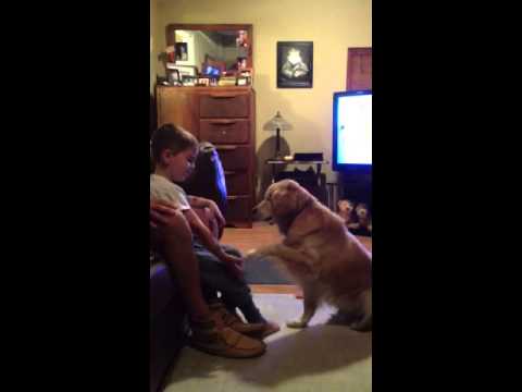 Smiley Shakes a Paw blind love