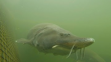 Mountain lake home to Bulgaria
