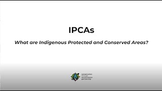 What are Indigenous Protected and Conserved Areas (IPCAs)?