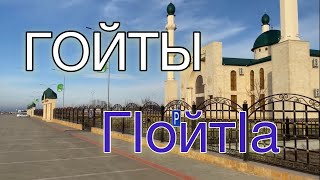 картинка: Гойты