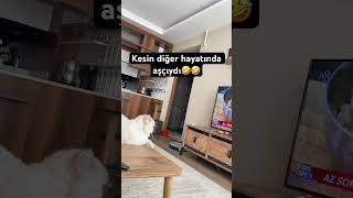 Fenomen Takipçi Şfet