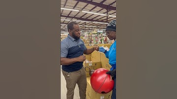 In case you were wondering where everyone put their Christmas decorations #funny #christmas #decor