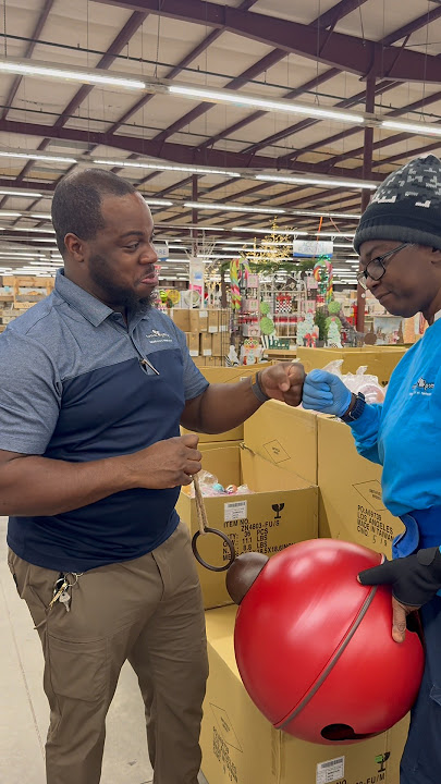 In case you were wondering where everyone put their Christmas decorations #funny #christmas #decor