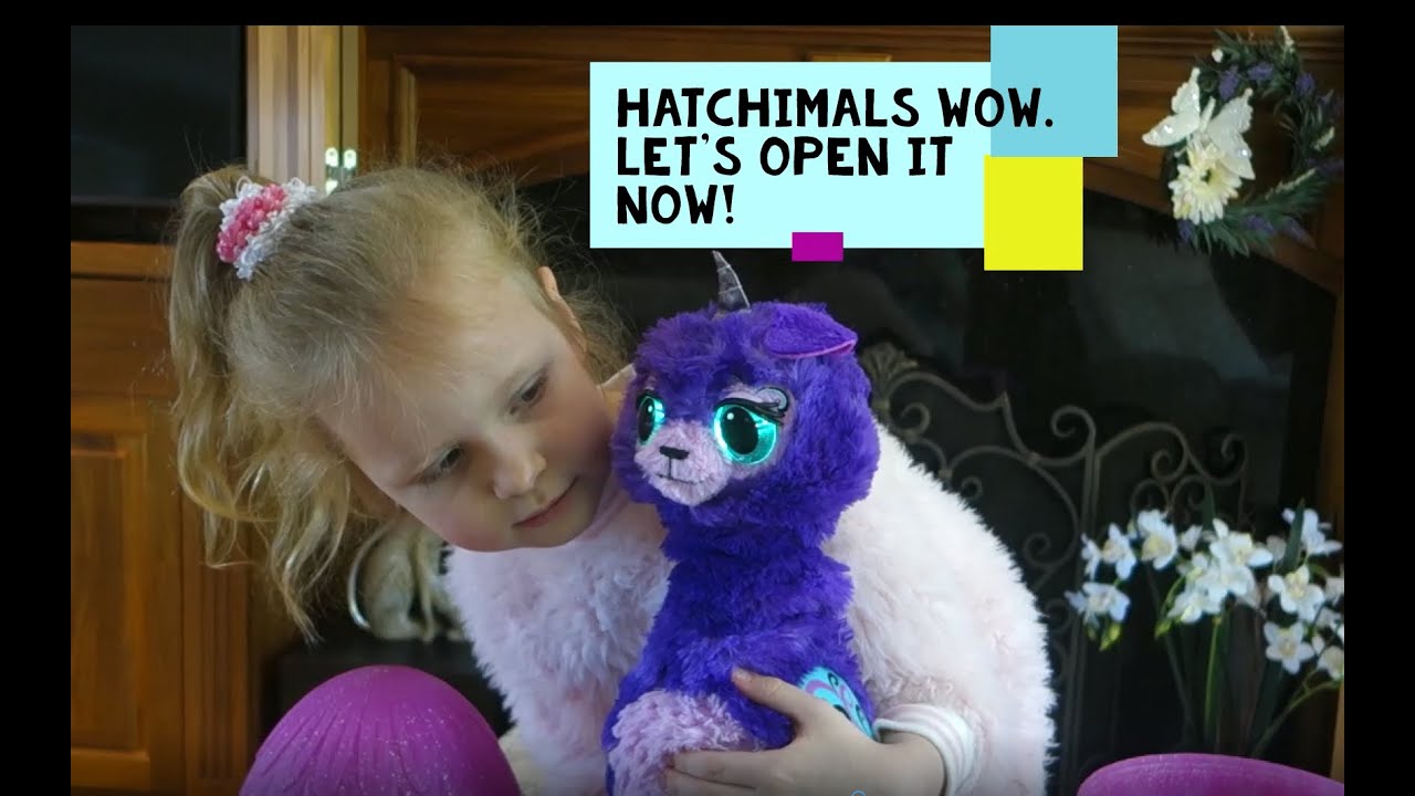 Hatchimals WOW - Let's open it now! Unboxing Purple llalacorn. Interactive Re-Hatchable Egg.