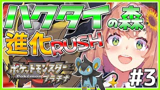 ポケモンプラチナ ジムジムジムジムジムポチャ 本間ひまわり にじ ポケモンプラチナ ジムジムジムジムジムポチャ 本間ひまわり にじ