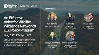 An Effective Voice for Wildlife: Wildlands Network's U.S. Policy Program | 2026 Webinar