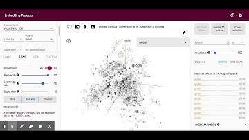 Tensorboard t-sne to visualize local and global fraud on accounting statements