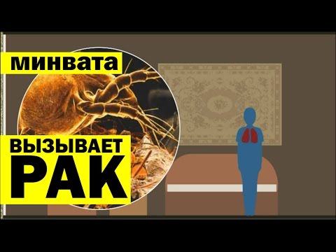 Утеплитель. Минвата. Рак лёгких.