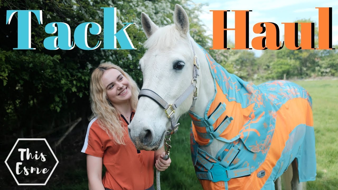 Huge TACK HAUL ready for the Summer | This Esme