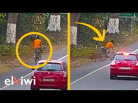 Ciclista sobrevivió a la embestida de un leopardo