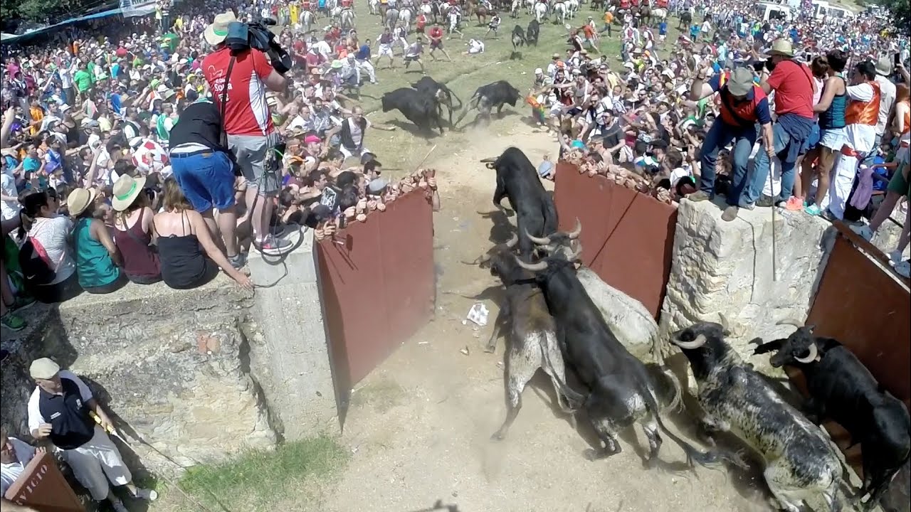 La Saca | Fiestas de San Juan 2016 Soria | Valonsadero-Vega