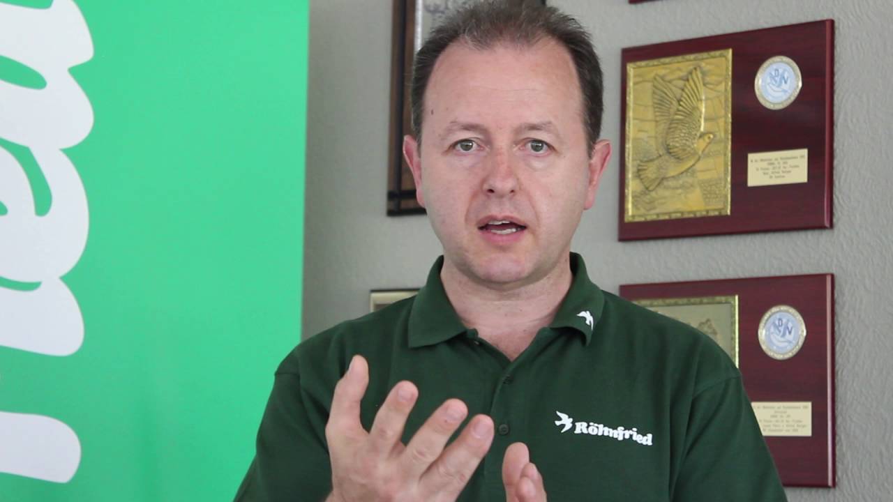 Avimycin Pulver und seine Besonderheiten bei Brieftauben