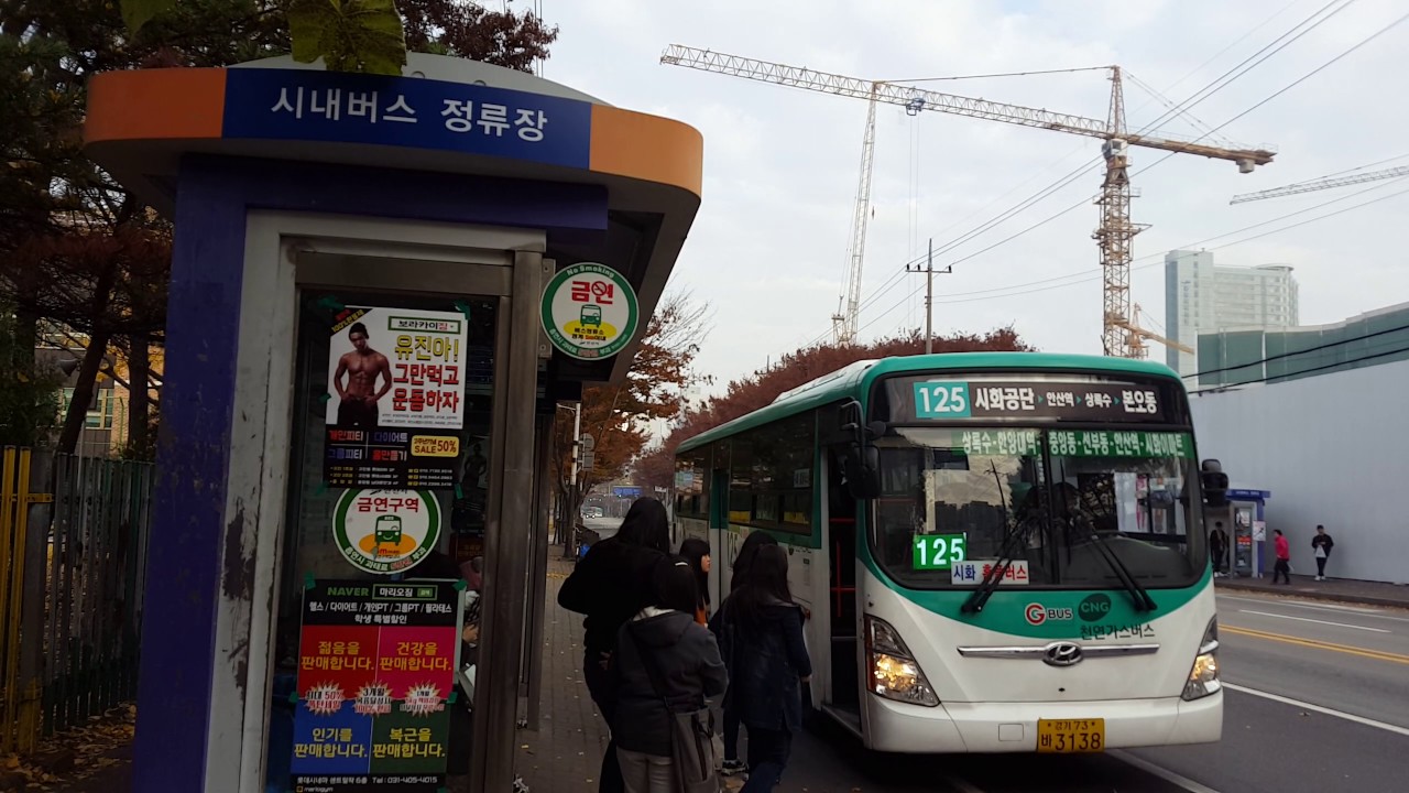 안산 중앙초등학교 정류장의 버스들