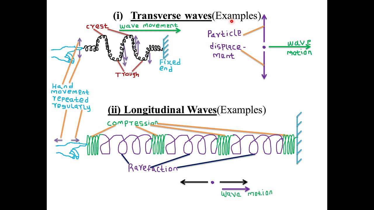 TOPIC 8  WAVES I  LESSON 1