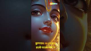 Watch on YouTube