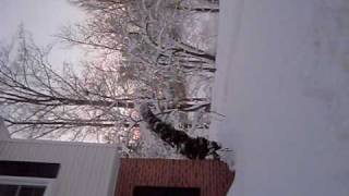 SDC11832.AVI