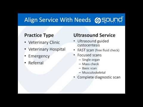 How to Incorporate Veterinary Ultrasound into The Practice
