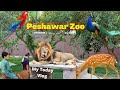 Peshawar zoo -  My today vlog