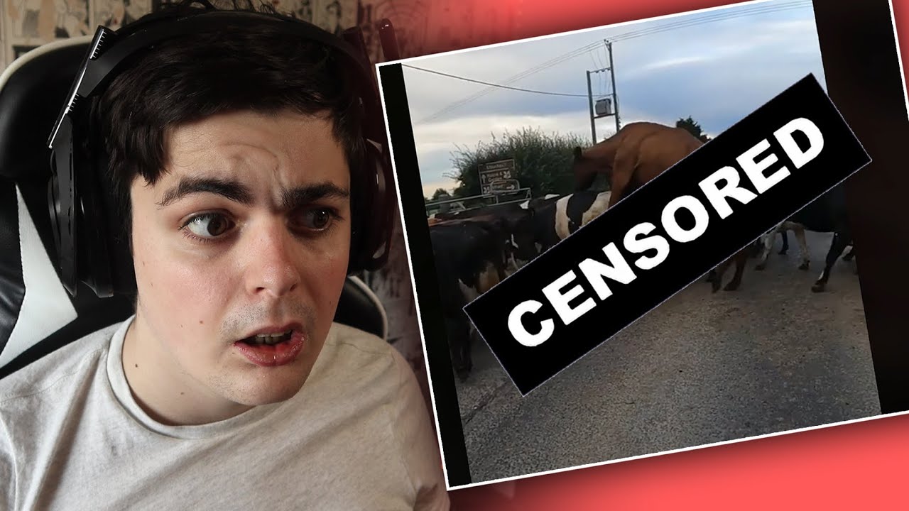 LOOKING THROUGH MY TIKTOK FYP | The Weekly Glovebox