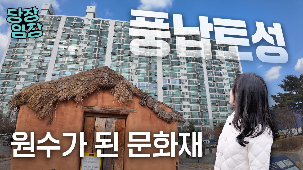 내 집 앞에 문화재가 있으면 호재일까요 악재일까요? | 당장! 임장