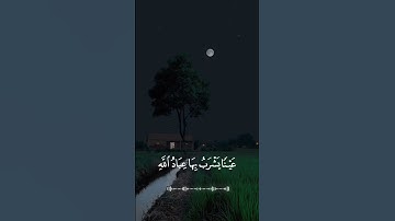 #قرآن #سورة #الانسان #الآيات (4-6)